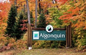 Algonquin-Park-Advantage