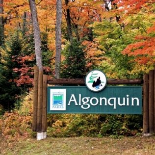 Explore Algonquin Park with Car Rental This Summer
